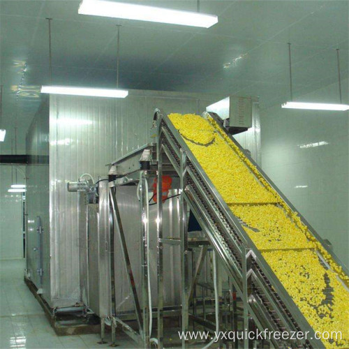 Fluidized Flow Bed Freezer For Sweet Corns